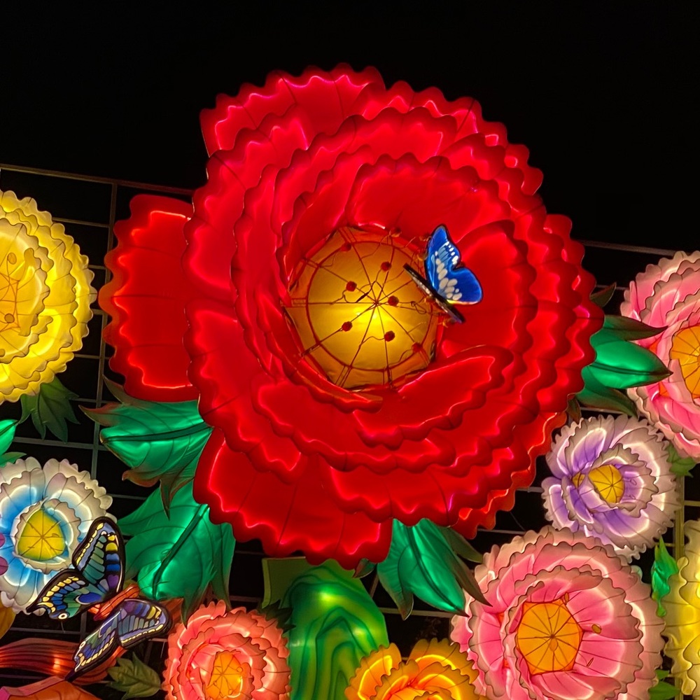 Meet your Posher, Desislava